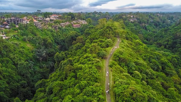 Campuhan Ridge Walk 4