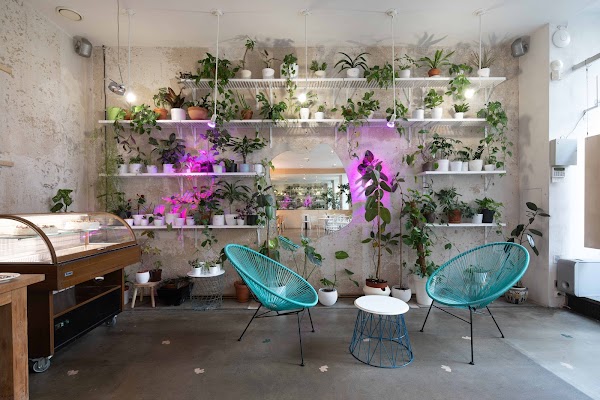Mistral Cafe
