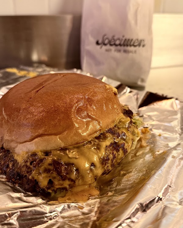Spécimen Burger Saint Germain 3