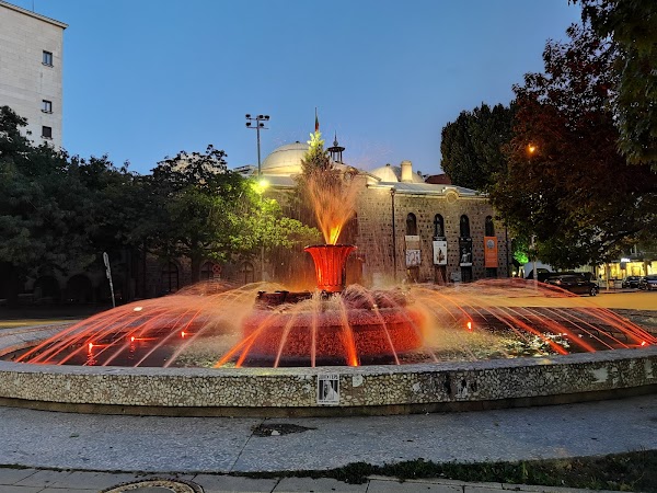 Sofia 5