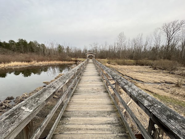 Birdseye Hollow State Forest