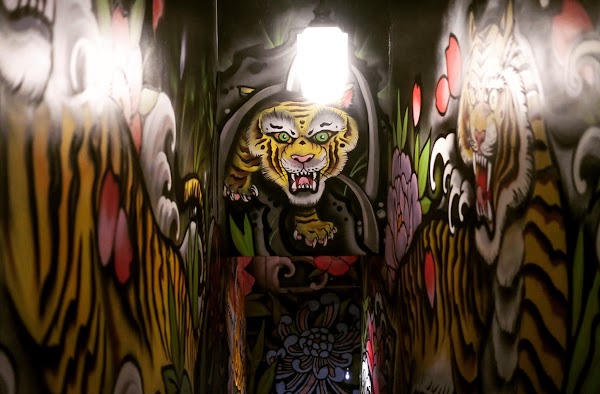 11 Tigers 3