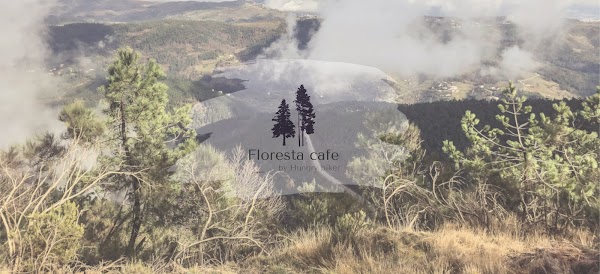 Floresta cafe by Hungry biker 4