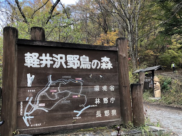 Karuizawa Wild Bird Sanctuary 5