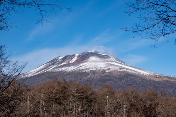 Karuizawa Wild Bird Sanctuary 4