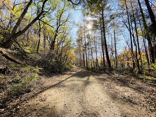 Karuizawa Wild Bird Sanctuary 2