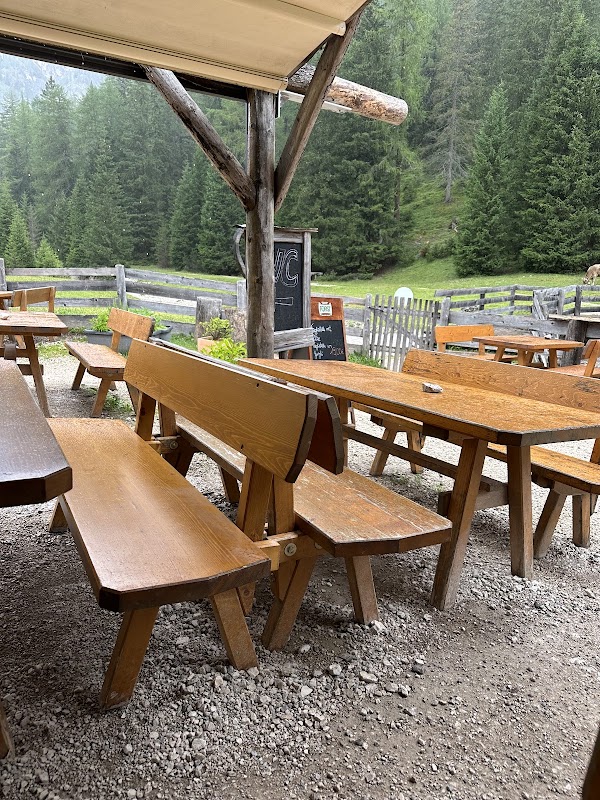 Grünwaldalm zum Hartl 1