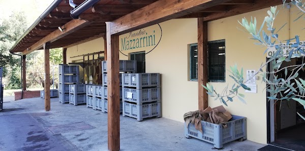 Frantoio Mazzarrini 1