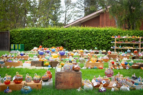 The Great Glass Pumpkin Patch 1