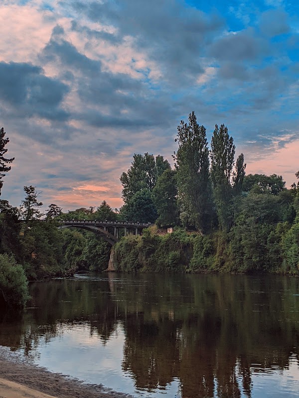 Waikato District 5