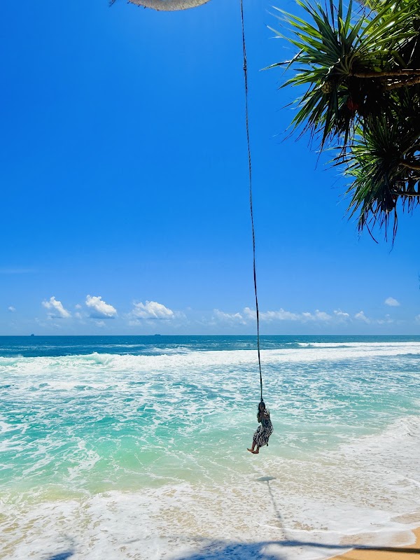 Rasta Rope Swing