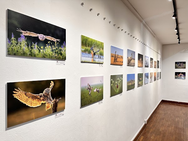 Selegie Arts Centre 4