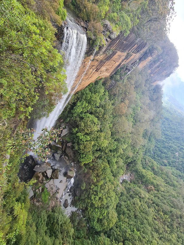 Fitzroy Falls 4
