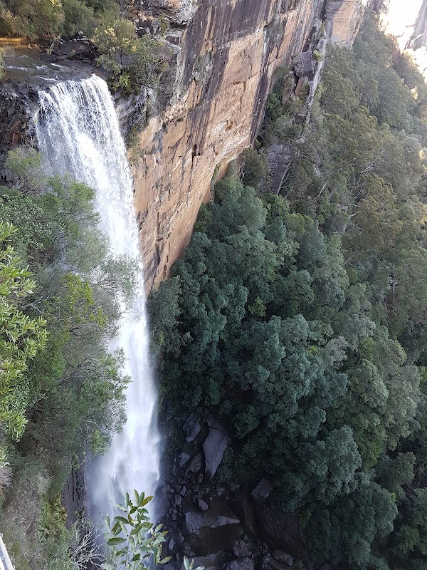 Fitzroy Falls 3