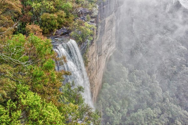 Fitzroy Falls 2