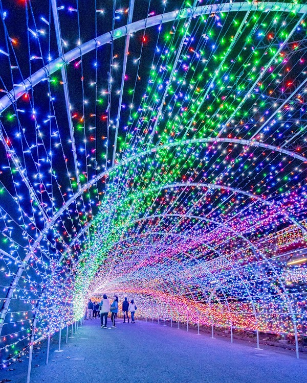 Yomiuri Land 2