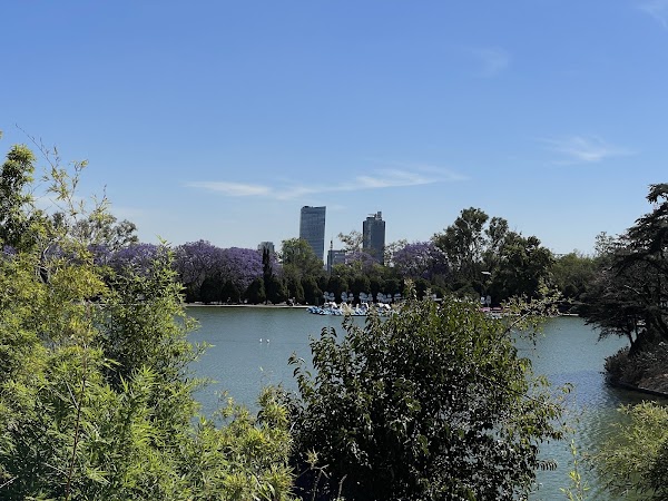 Bosque de Chapultepec II Sección 1