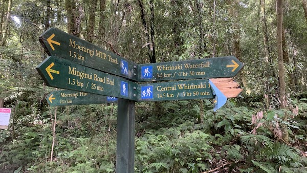 Whirinaki Te Pua A Tane Conservation Park