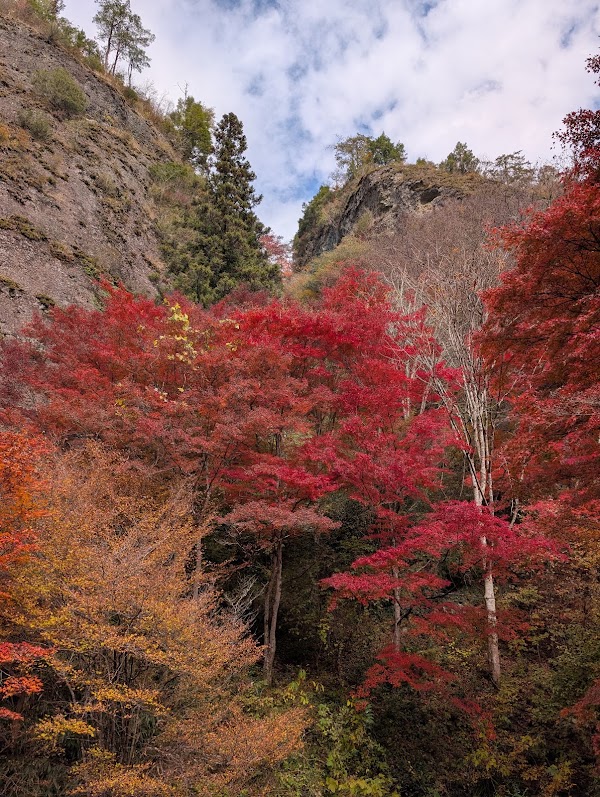 Furuiwaya