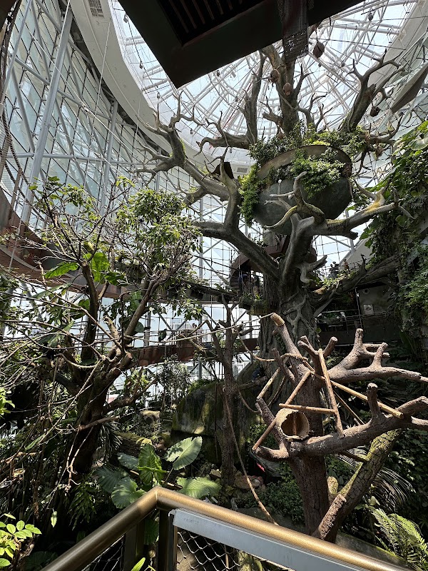 The Green Planet Dubai 4