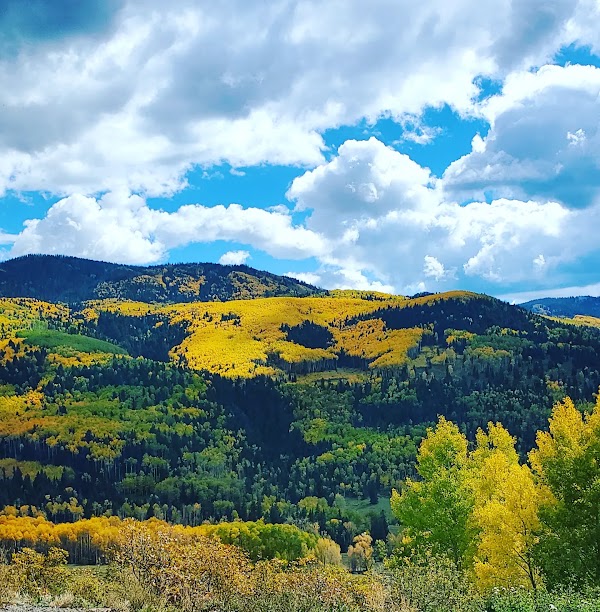 Colorado 38