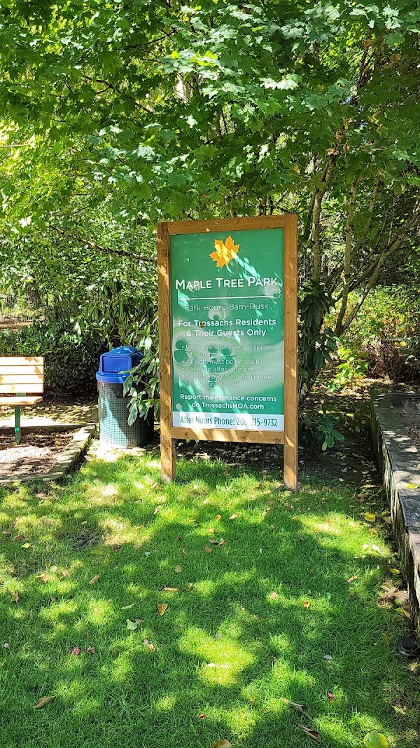 Maple Tree Park 2