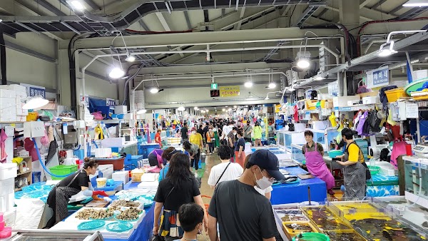 Jumunjin Fish Market 5