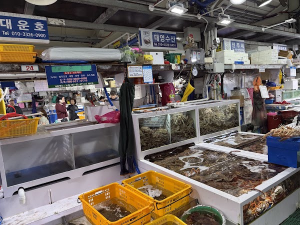 Jumunjin Fish Market 4