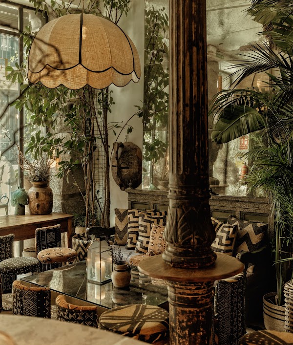 Ficus Bar