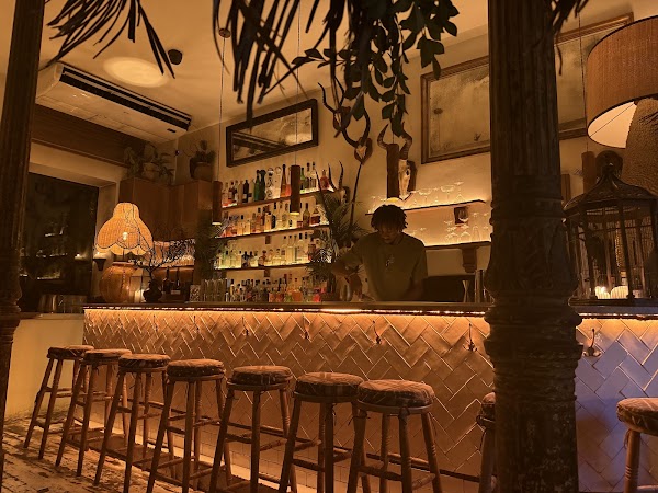 Ficus Bar 5