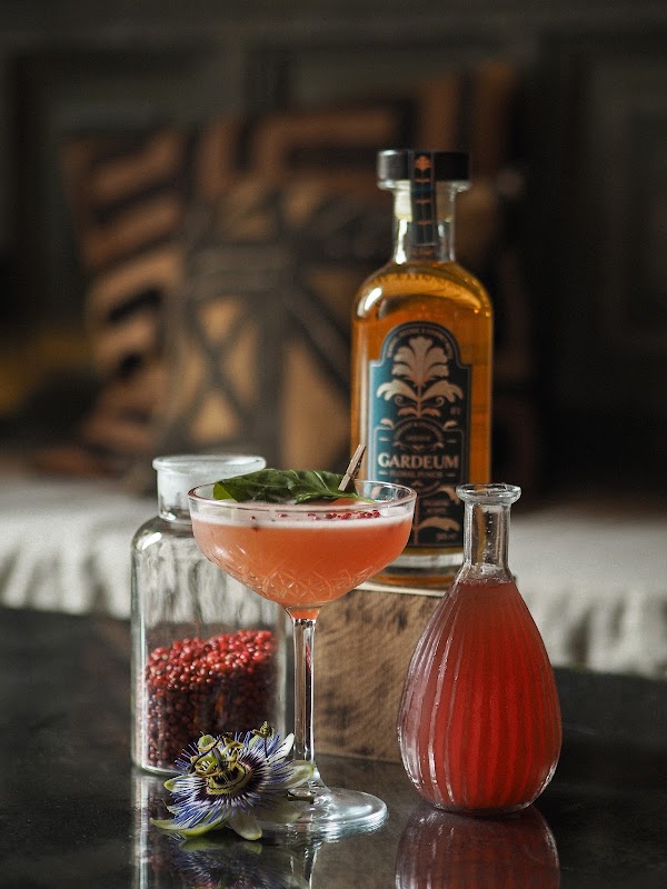 Ficus Bar 4