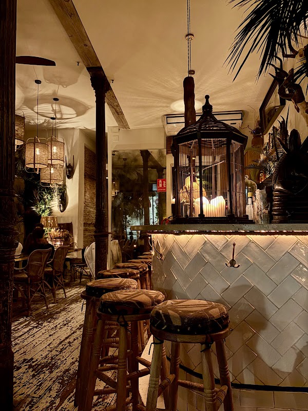 Ficus Bar 2