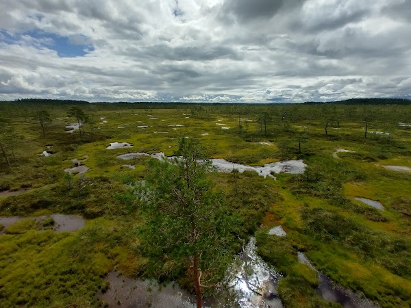 Mustansaarenkeidas Nature Trail 1