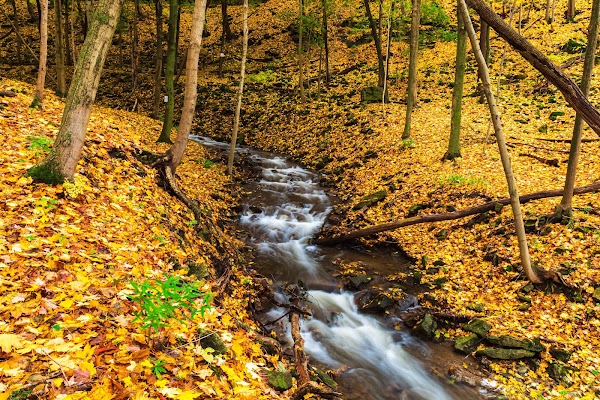 Sherman Falls 3