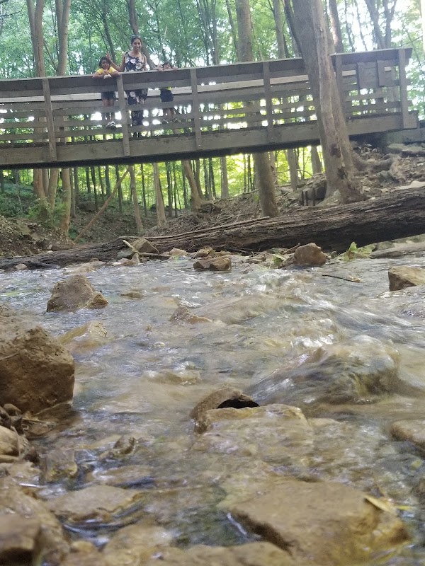Sherman Falls 2