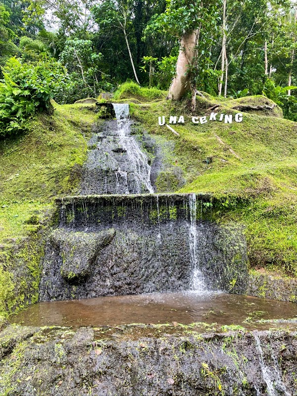 Uma Ceking Resto and Swing 3