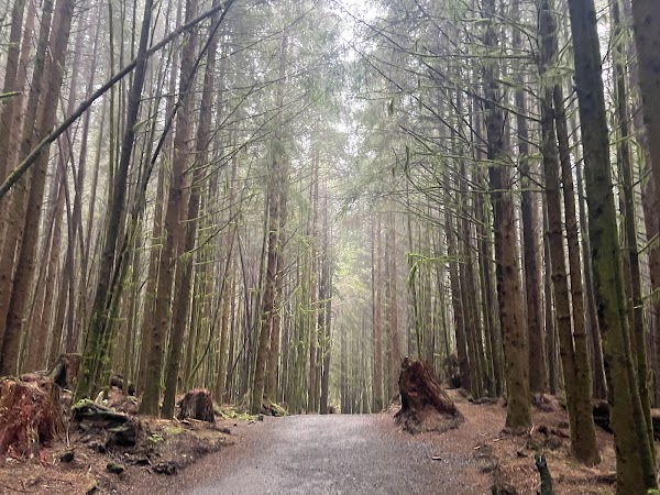 Sombrio Beach Trailhead 4