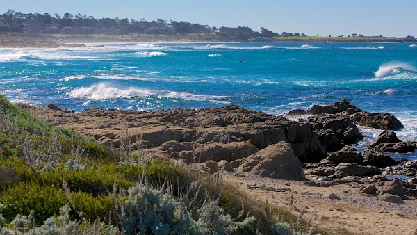 Asilomar State Beach 1