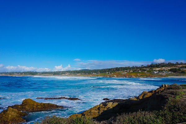 Asilomar State Beach 5