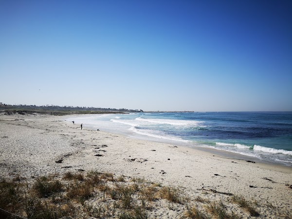 Asilomar State Beach 4