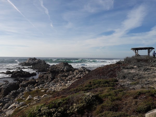 Asilomar State Beach 3