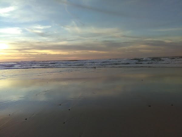Asilomar State Beach 2