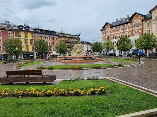 Asiago 4