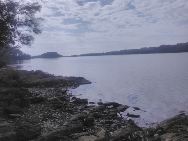 Mummuga Lake Walking Track