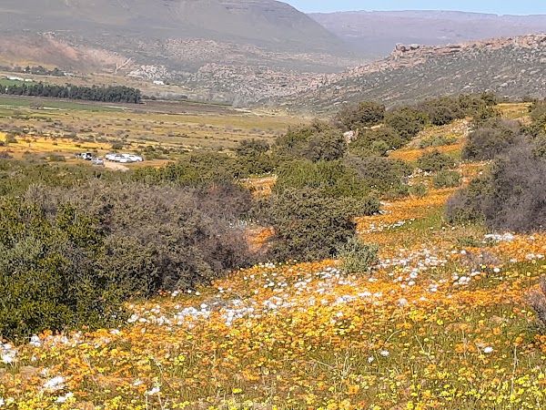 Biedouw Valley