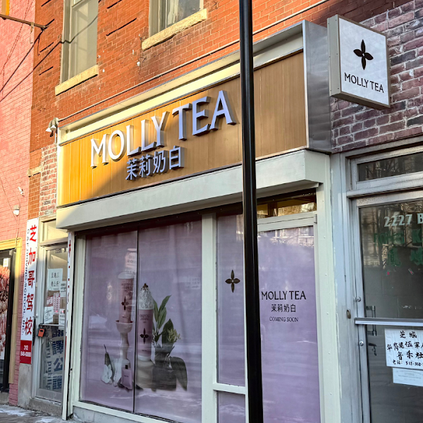 Molly Tea (Chicago) 1