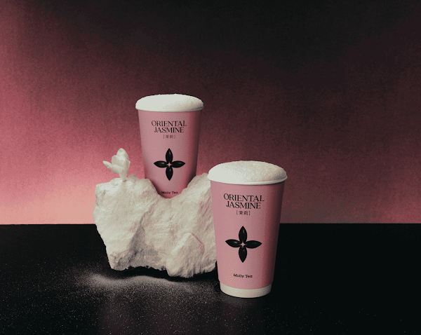 Molly Tea (Chicago) 5