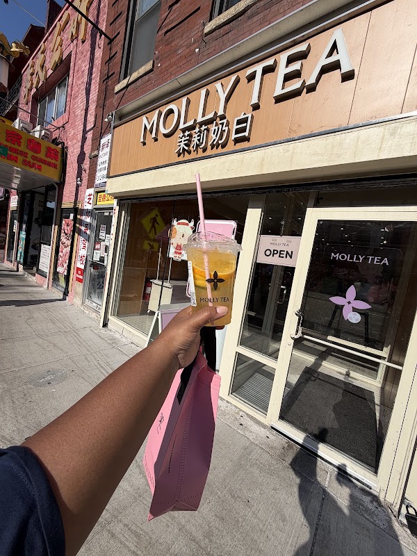 Molly Tea (Chicago) 2