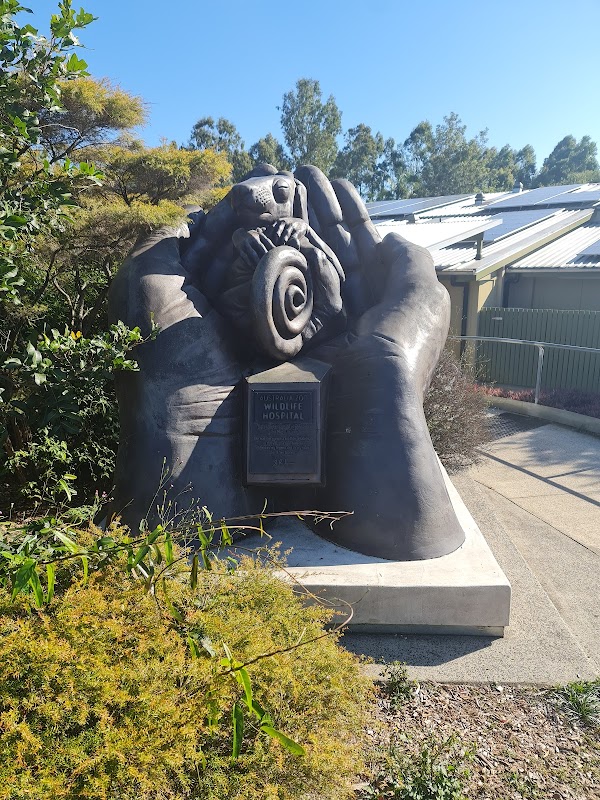 Australia Zoo Wildlife Hospital 1