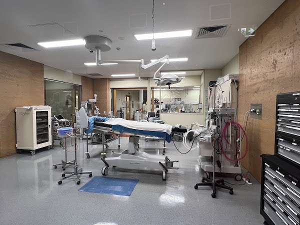 Australia Zoo Wildlife Hospital 4